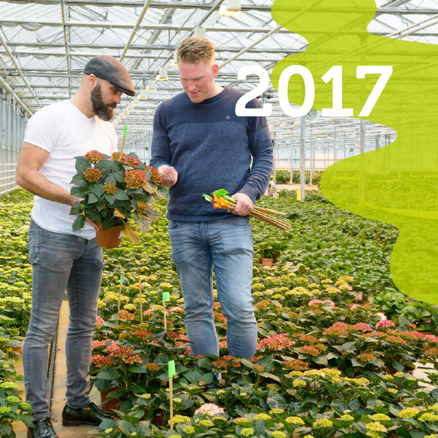 2017 groot